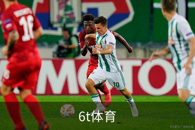 6t体育 公司简介